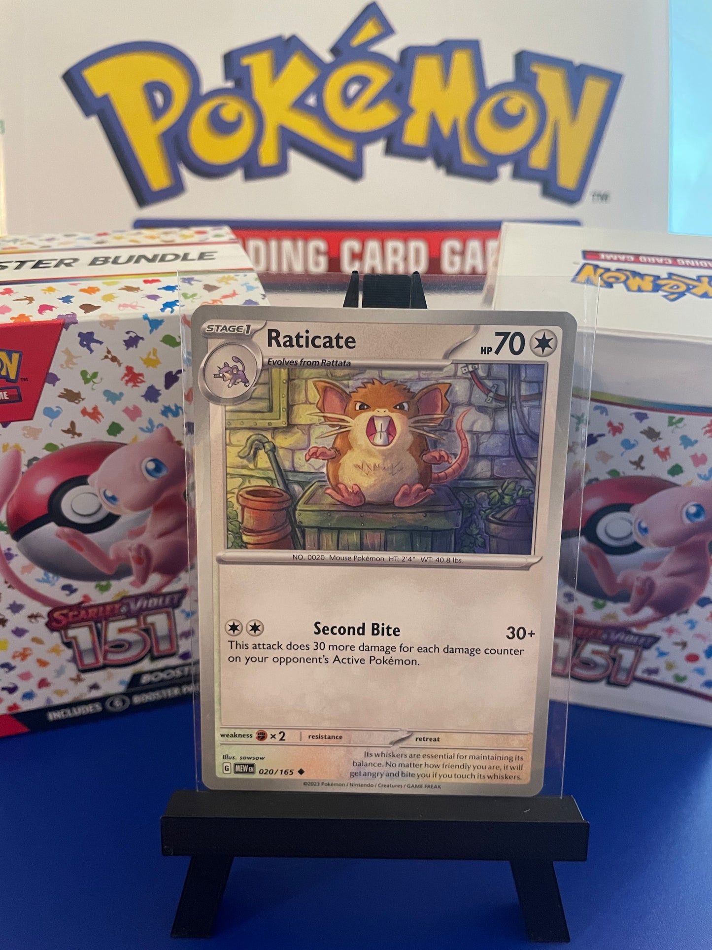 Raticate: 151 Scarlet & Violet (20/165)