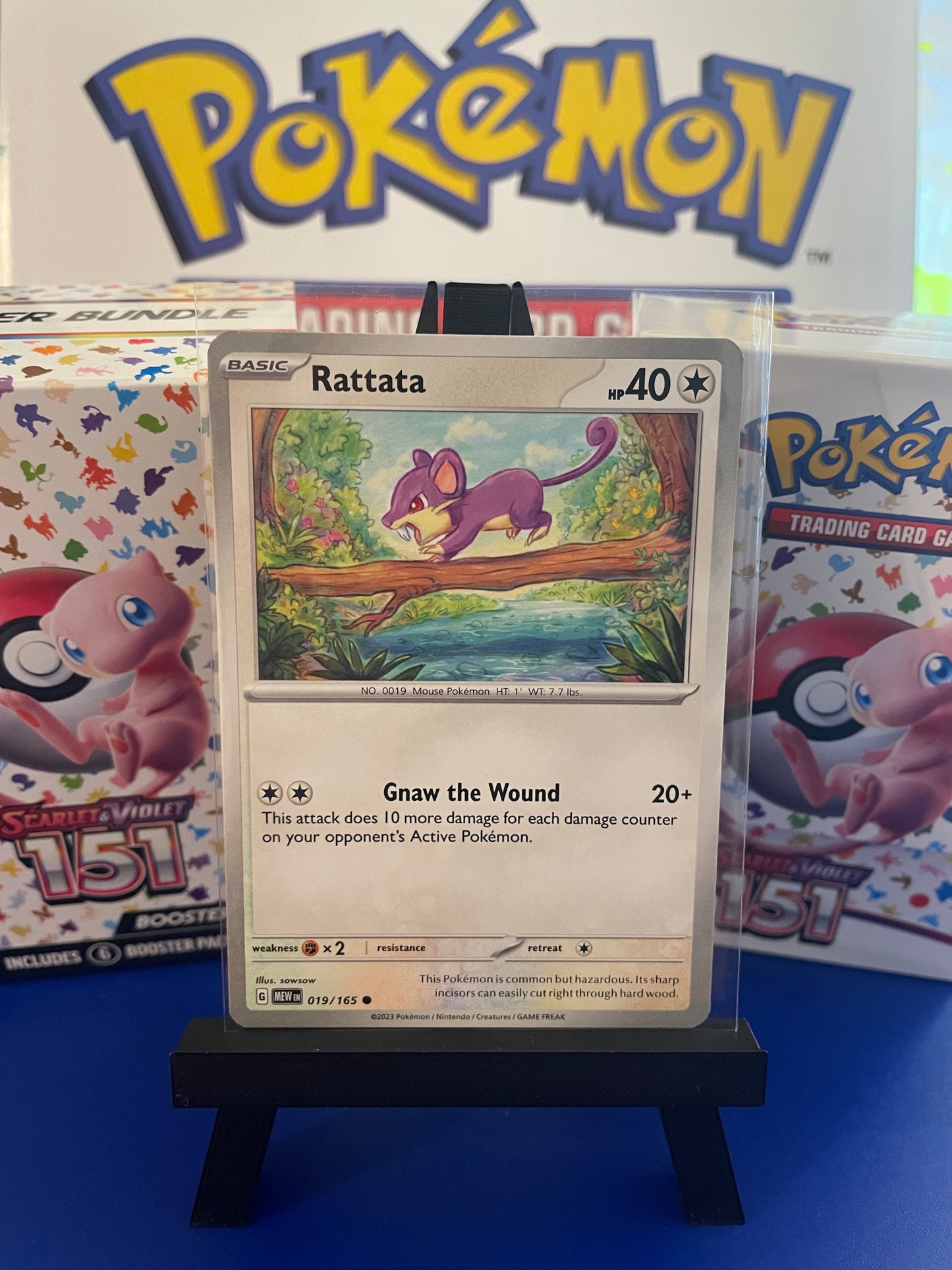 Rattata: 151 Scarlet & Violet (19/165)